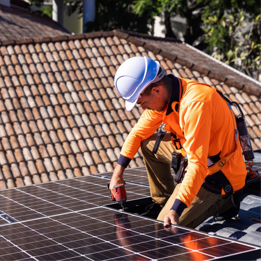 <p>Rooftop solar and storage biannual report</p>